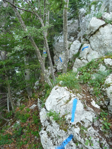 MONT COLOMBIER PAR ROCHERS DE LA BADE - Mauvaises traces