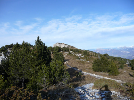 MONT GRANIER PAR BARRES DE TENCOVAZ - Sortie sur le plateau et sommet en vue
