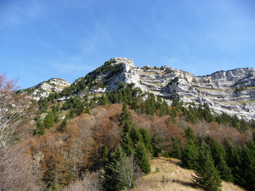 PINET - Vue depuis la clairière