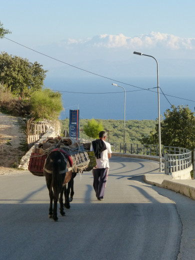Albanie - Un moyen de transport