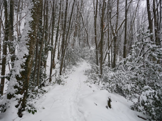 PAS DU MALPASSANT - SENTIER